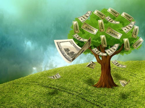 Can the Economy Thrive in Harmony with Nature? - Article Image