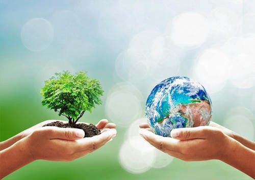 Can the Economy Thrive in Harmony with Nature? - Article Image