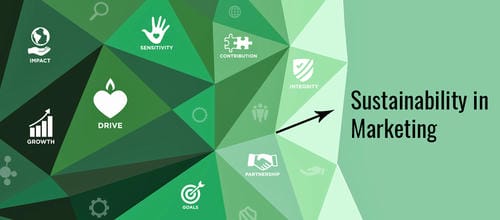 How Sustainability Messaging Must Evolve to Resonate Across Cultures Without Falling Into Greenwashing - Article Image